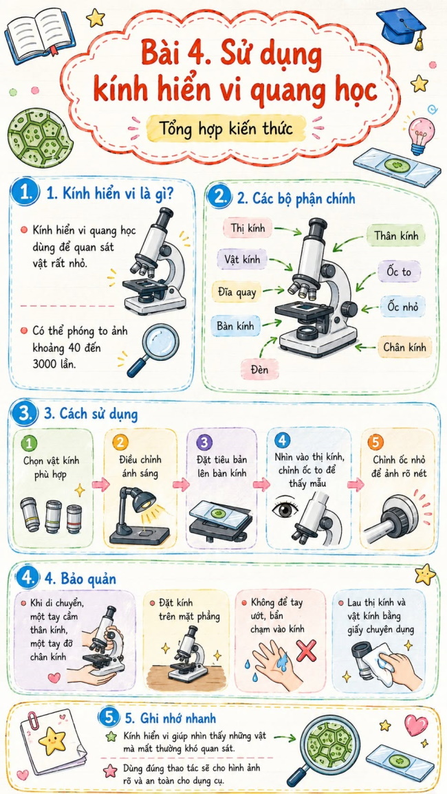 Infographic lý thuyết Khoa học tự nhiên 6
