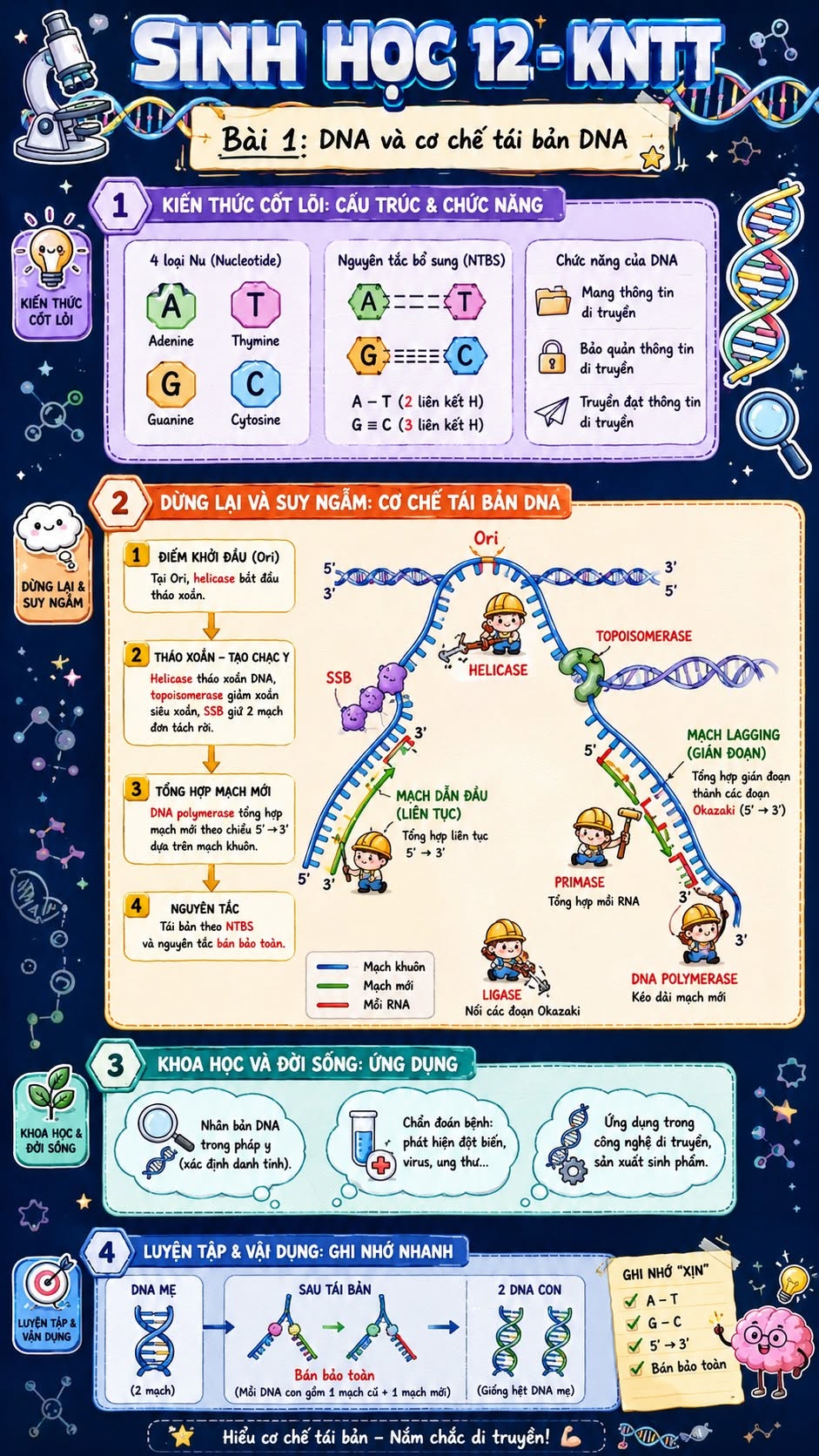 Infographic lý thuyết Sinh học 12 Bài 1