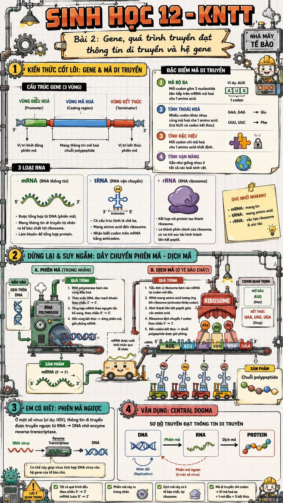 Infographic lý thuyết Sinh học 12 Bài 2