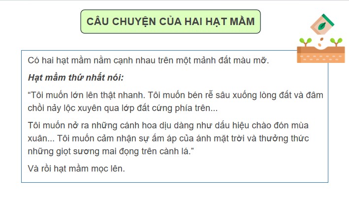 Dao Duc 2 HK2 2*787256