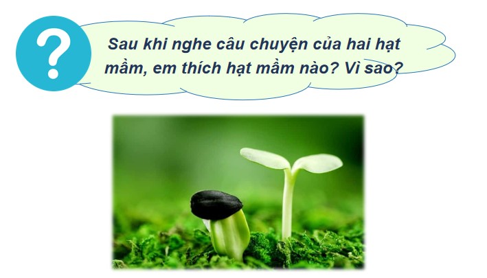 Dao Duc 2 HK2 4*787253