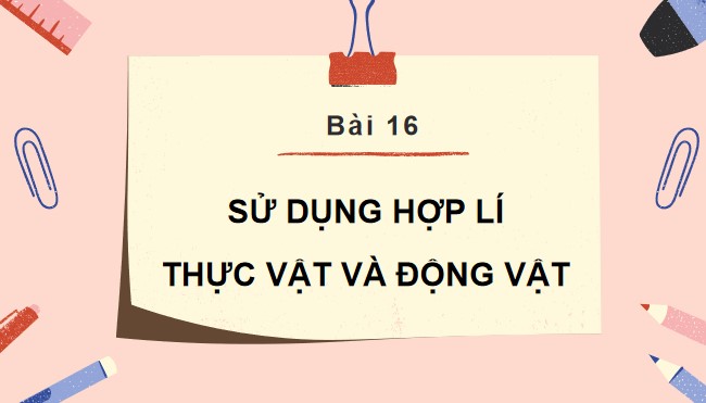 TNXH 3 HK2 2*787260