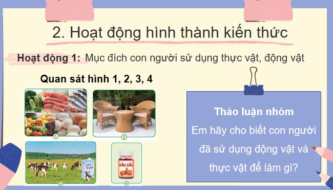 TNXH 3 HK2 5*787266