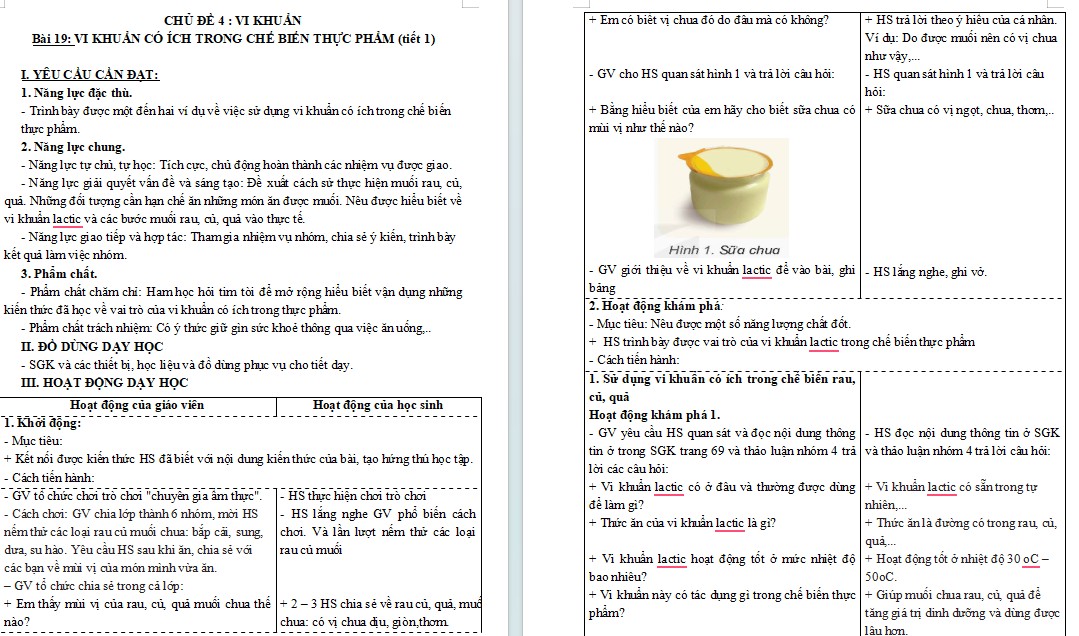 Bài 19: Vi khuẩn có ích trong chế biến thực phẩm