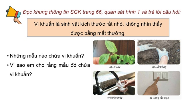 Khoa hoc 5 Bai 18 6*793165