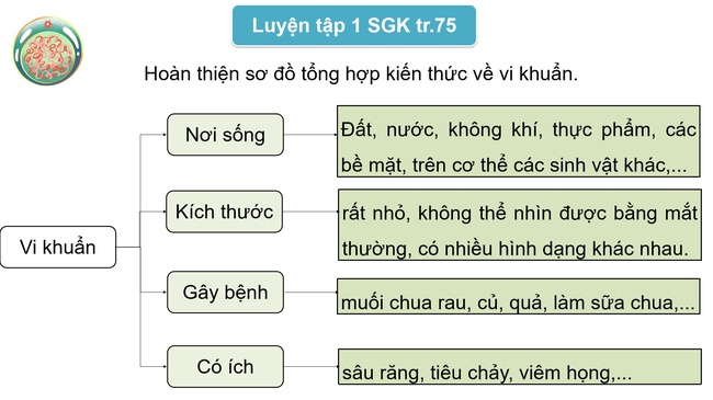 Khoa hoc 5 Bai 21 7*793206