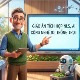 🖼️
