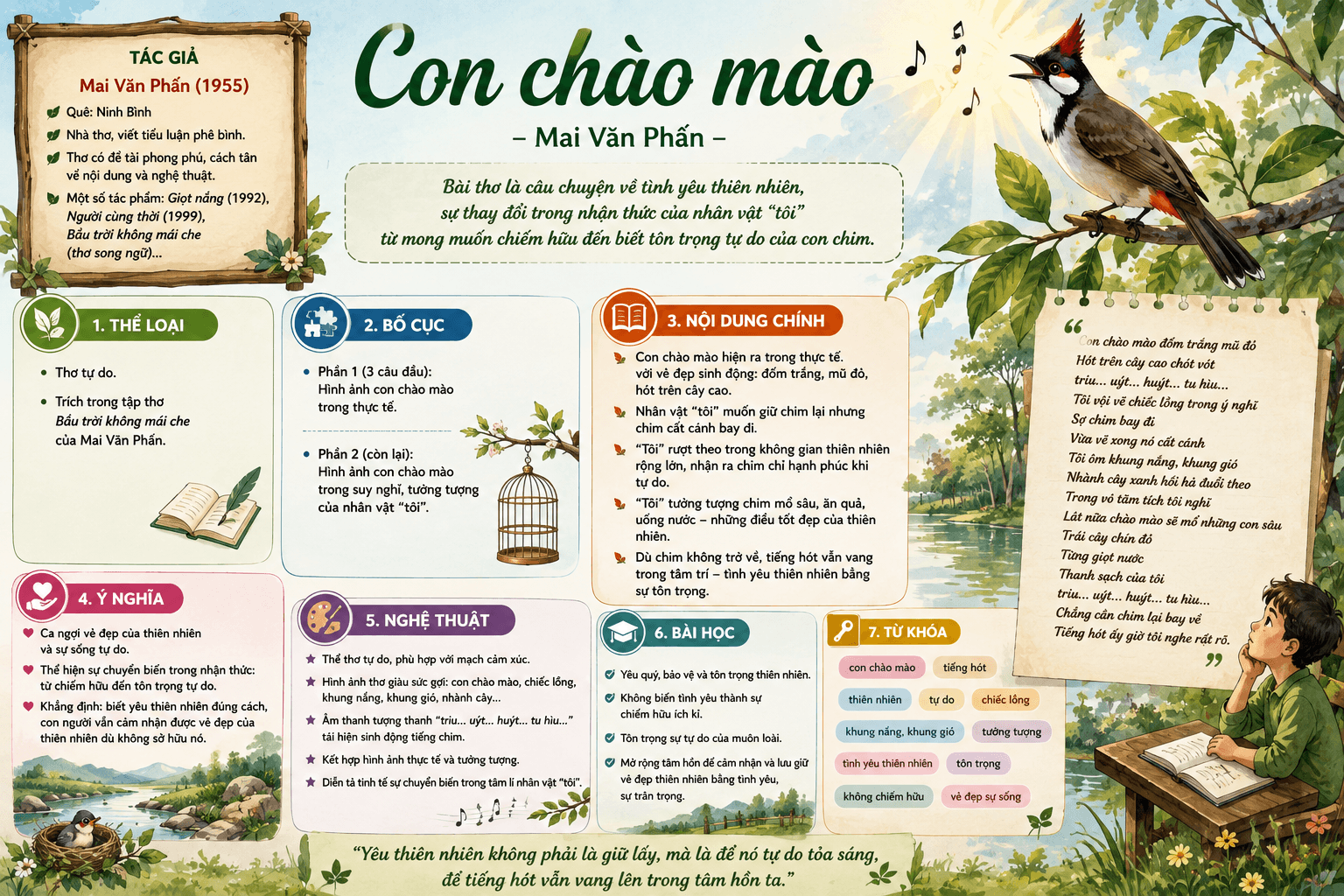 Infographic Con chào mào