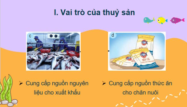 Cong nghe 7 Bai 14 4*803145