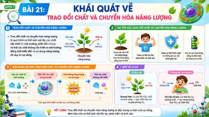 PPT KHTN 7 Bai 21 6*807708