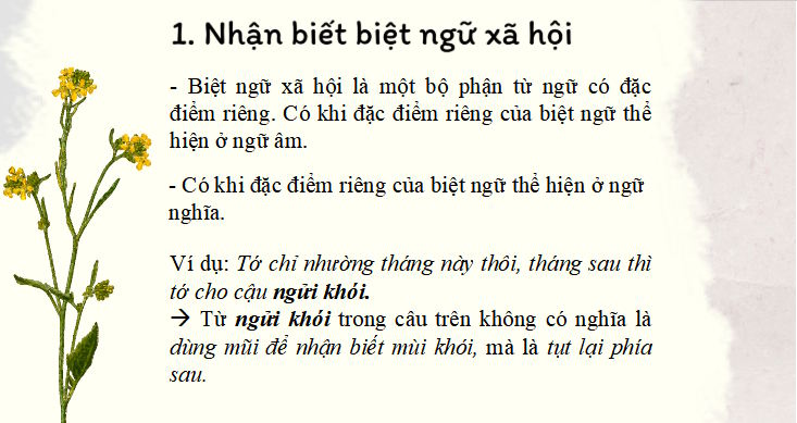 Van 8 Bai 1 THTV 5*809192