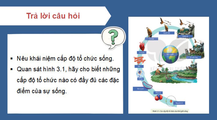 Sinh hoc 10 Bai 3 5*811881