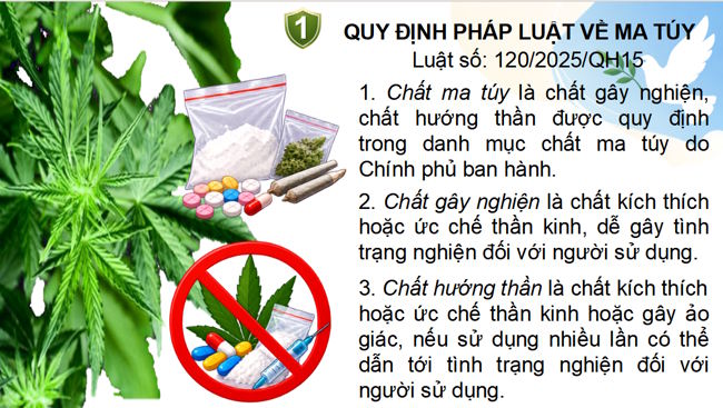 PowerPoint Phòng chống ma túy học đường
