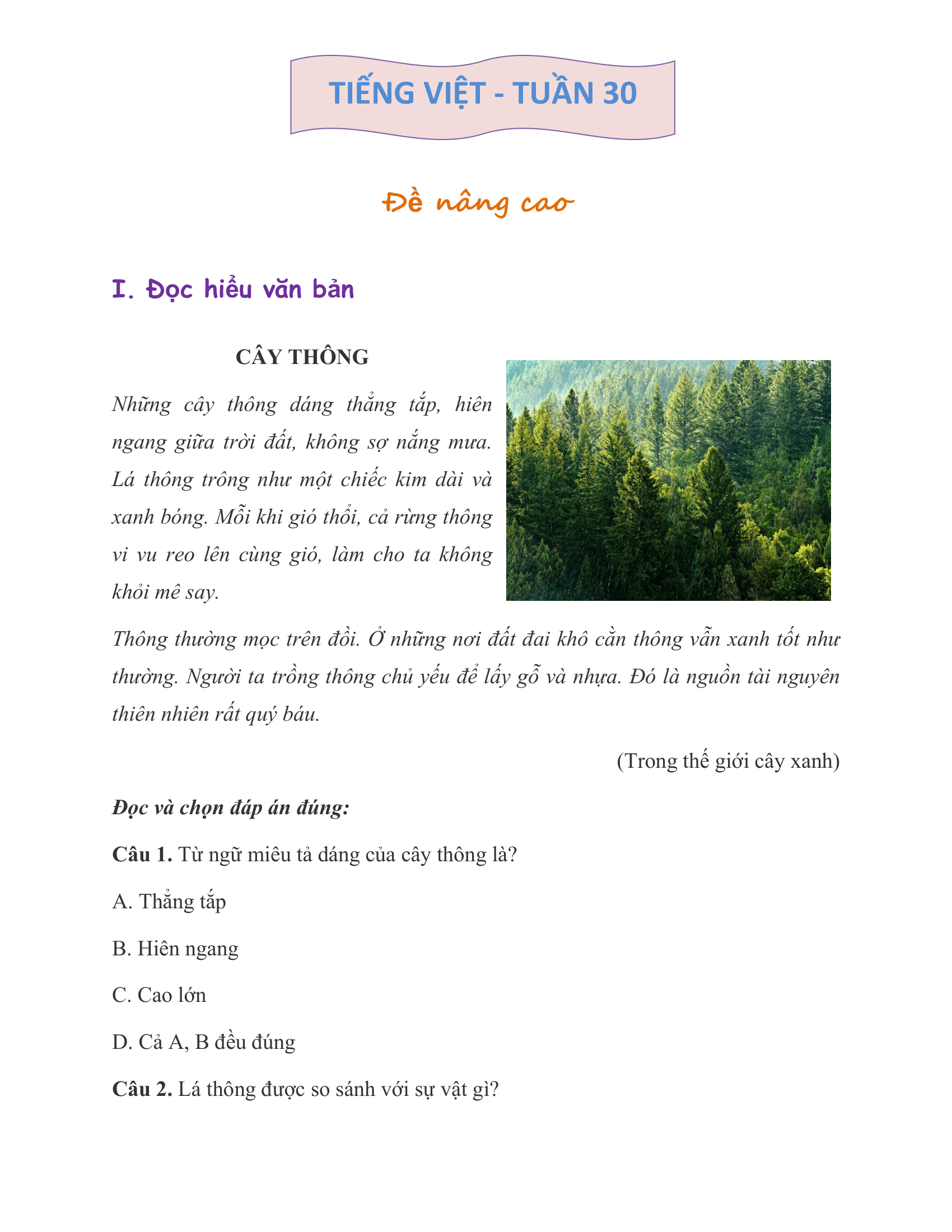 Tuần 30 1*814260