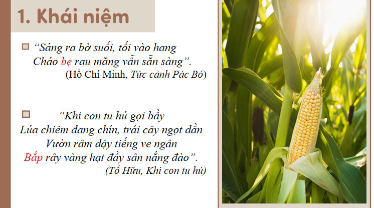 Van 8 Bai 1 THTV trang 24 3*815749