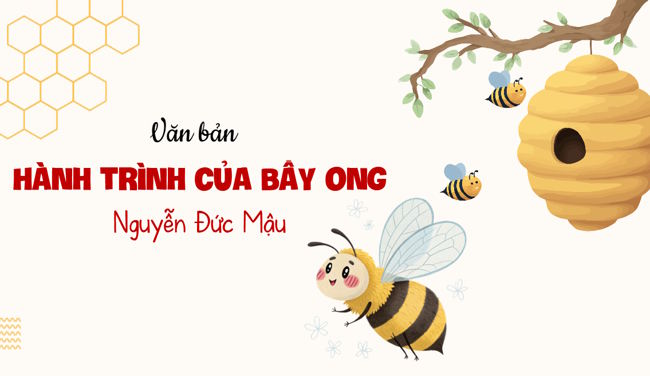 Van 6 Bai 4 Cung co 5*819297